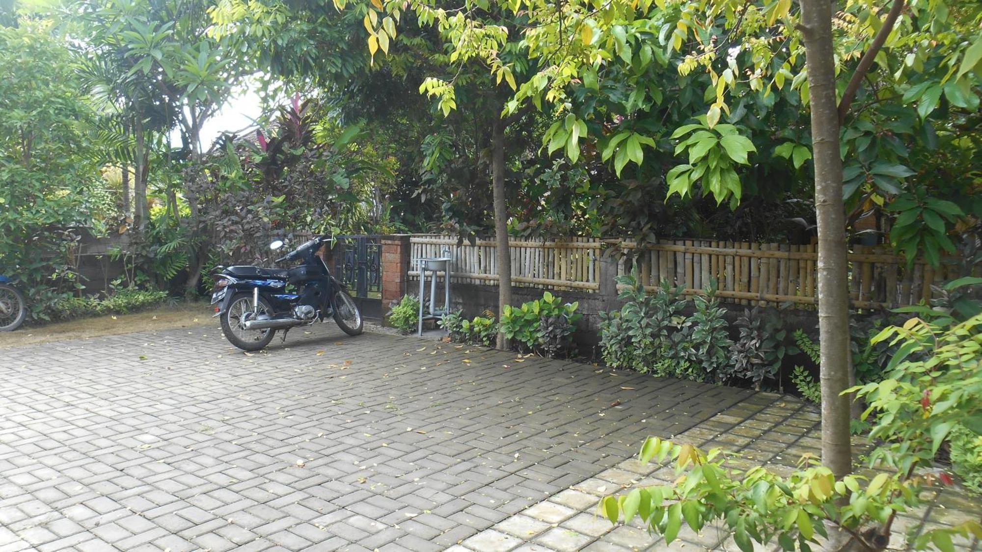 Taman Menjangan Homestay By Snorkelingmenjangan Banyuwedang Zewnętrze zdjęcie